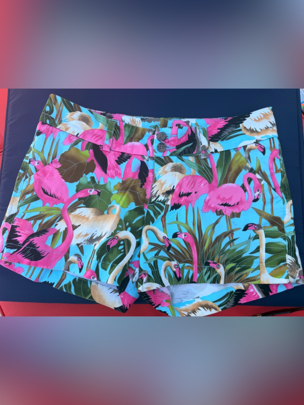 Loudmouth Ladies golf shorts. Tropical Flamingo Print.